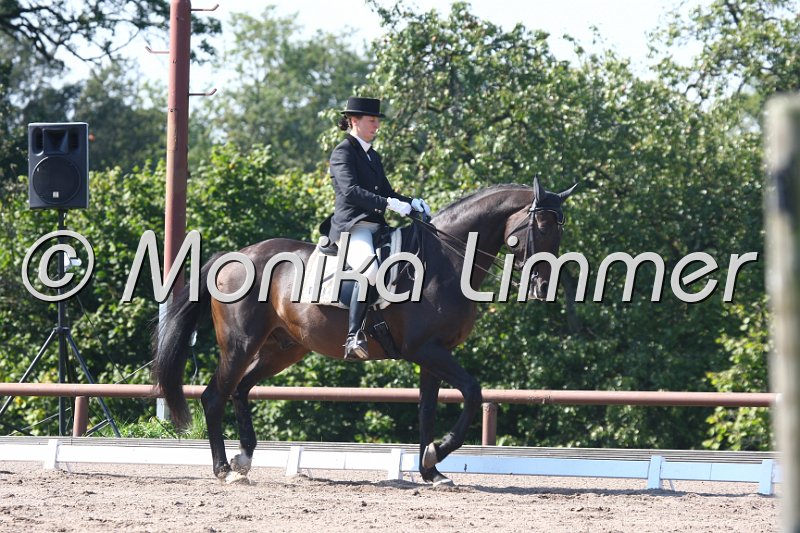 009M0155_Big Balu_Dressur L.JPG